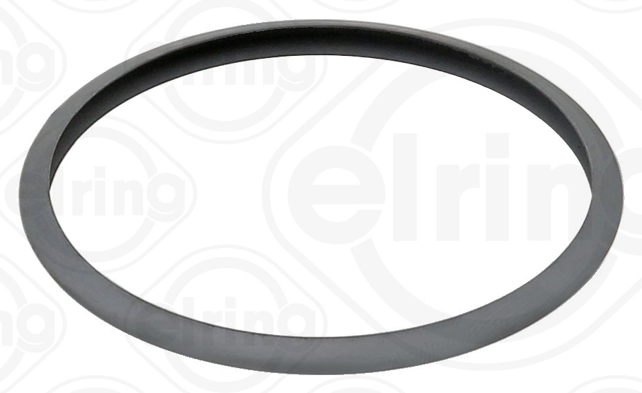 Tarpinė ELRING 077.420