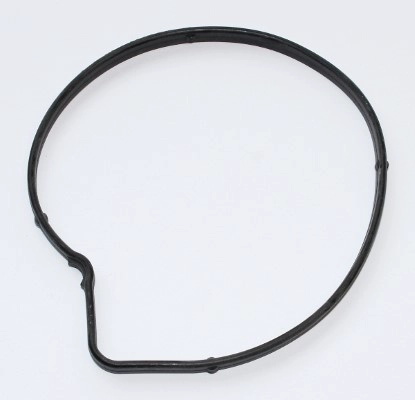 Vandens siurblio tarpiklis ELRING 130.490