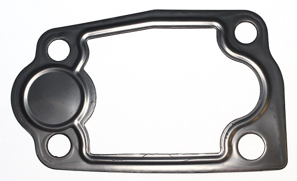 Termostato tarpinė ELRING 354.140