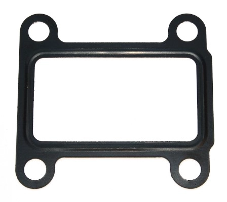 EGR vožtuvo tarpinė ELRING 454.030