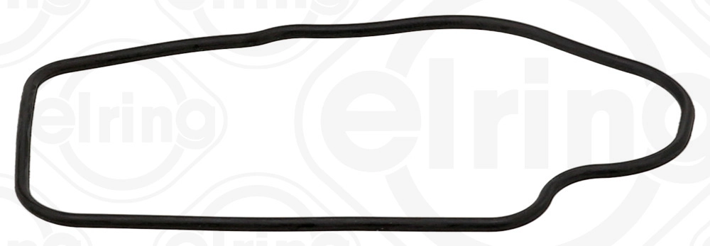 Termostato tarpinė ELRING 645.850