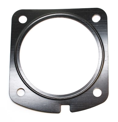 EGR vožtuvo tarpinė ELRING 876.410