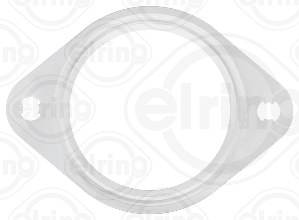 Išleidimo kolektoriaus tarpinė ELRING 880.120