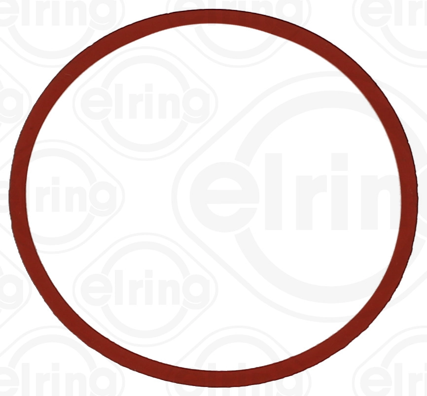 Įsiurbimo kolektoriaus tarpinė ELRING 893.600