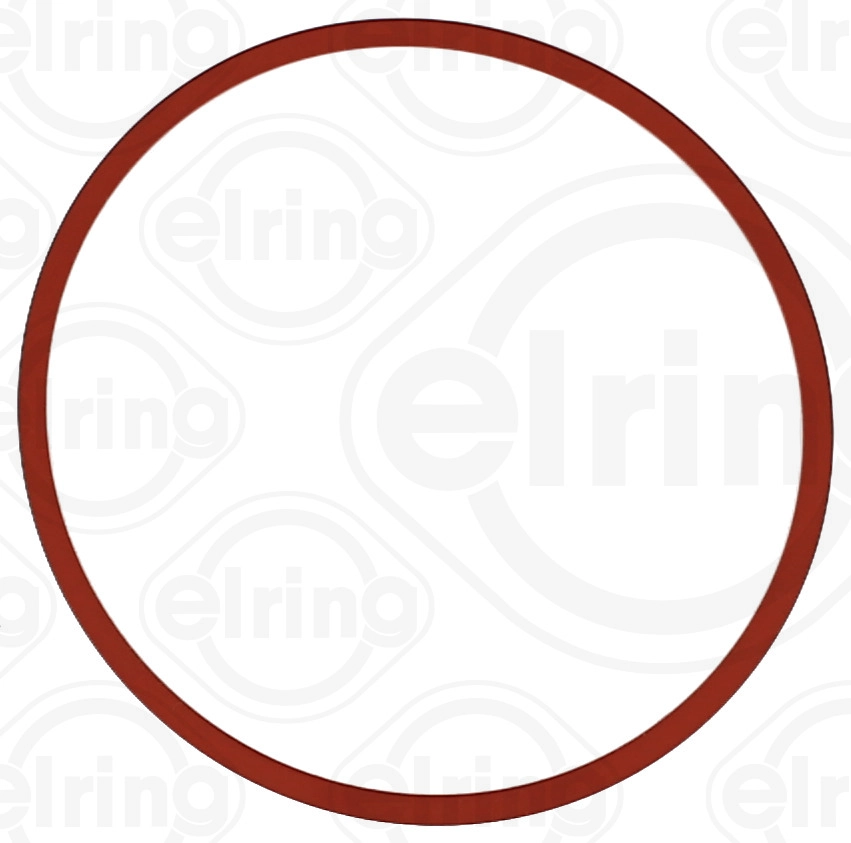Įsiurbimo kolektoriaus tarpinė ELRING 895.440
