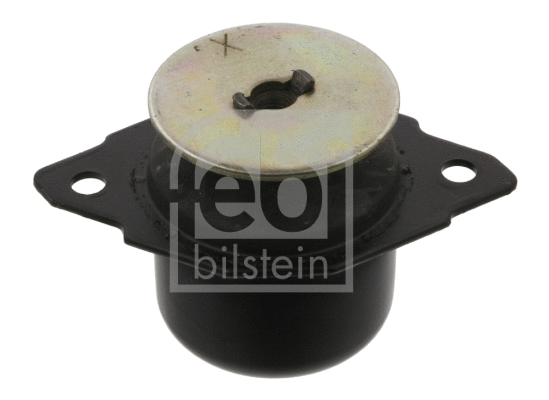 Variklio montavimas FEBI BILSTEIN 01109