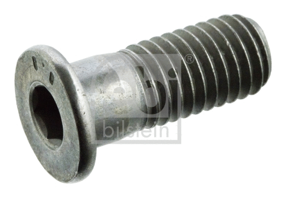 Stabdžių disko varžtas FEBI BILSTEIN 01893