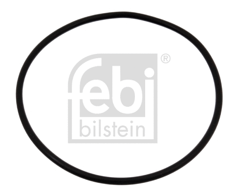 Vandens siurblio tarpiklis FEBI BILSTEIN 04734
