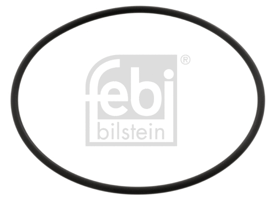 Vandens siurblio tarpiklis FEBI BILSTEIN 04745