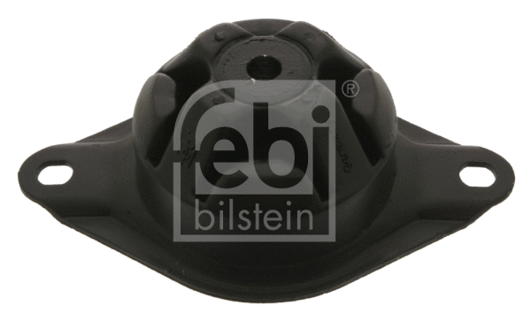 Variklio montavimas FEBI BILSTEIN 04984