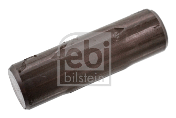 Stabdžių trinkelių lingės laikymo kaištis FEBI BILSTEIN 06424