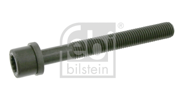 Cilindro galvutės varžtas FEBI BILSTEIN 06666