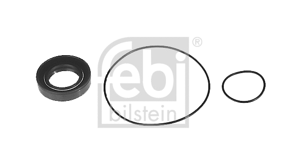 Hidraulinio siurblio tarpinių rinkinys FEBI BILSTEIN 08711