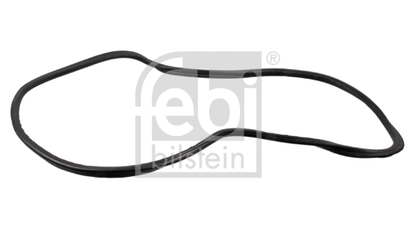 Galinio lango tarpinė FEBI BILSTEIN 08889