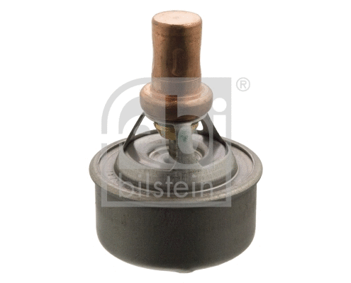Termostatas FEBI BILSTEIN 09336