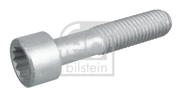 Kardaninio veleno jungės varžtas FEBI BILSTEIN 09455