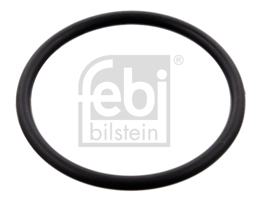 Termostato korpuso tarpinė FEBI BILSTEIN 100077