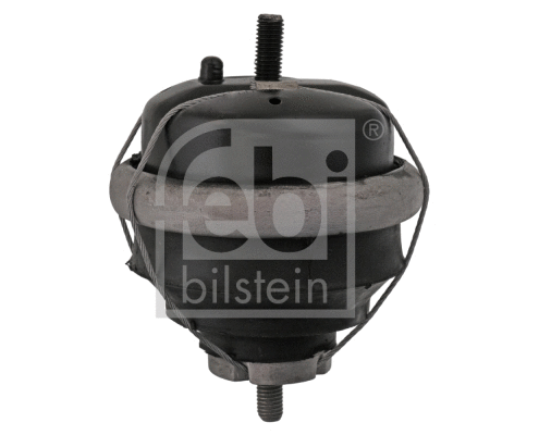Variklio montavimas FEBI BILSTEIN 10042