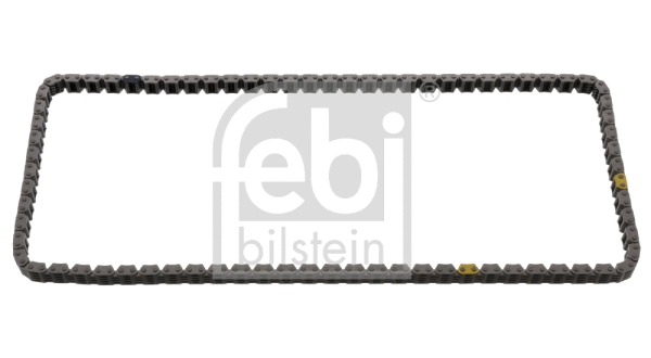 Pavaros grandinė FEBI BILSTEIN 100629