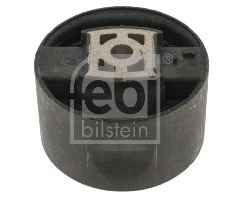 Variklio montavimas FEBI BILSTEIN 100687