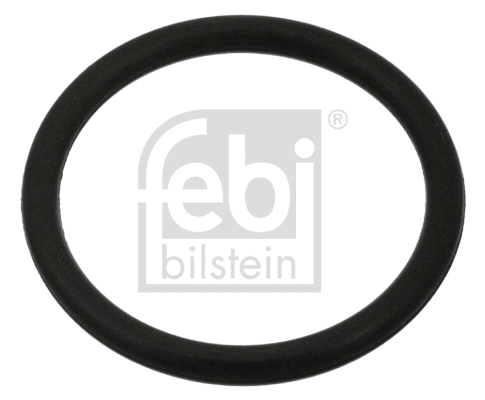 Alyvos išleidimo kaiščio tarpinė FEBI BILSTEIN 100998