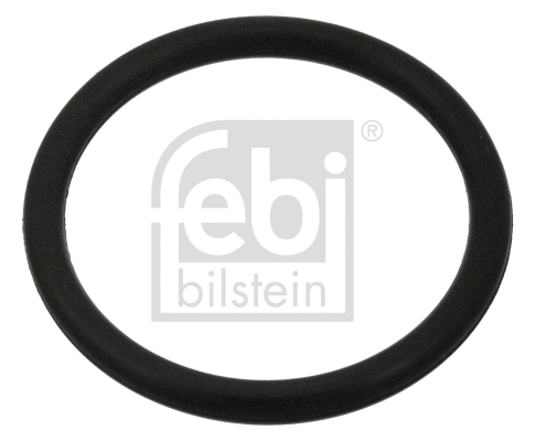 Alyvos išleidimo kaiščio tarpinė FEBI BILSTEIN 100999