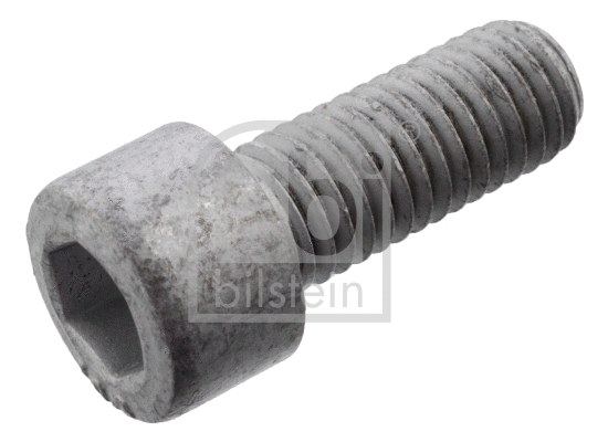 Kardaninio veleno ašies varžtas FEBI BILSTEIN 101235