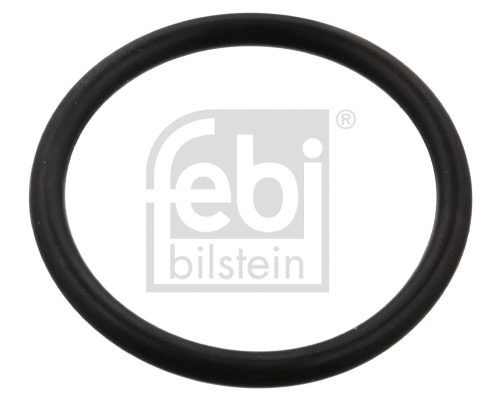 Aušinimo skysčio žarnos tarpiklis FEBI BILSTEIN 102594