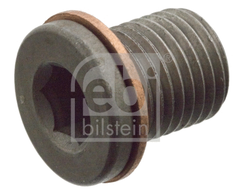 Alyvos karterio alyvos išleidimo kaištis FEBI BILSTEIN 104309