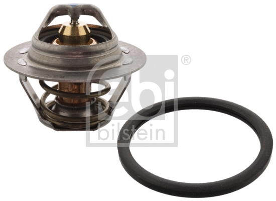 Termostatas FEBI BILSTEIN 104794
