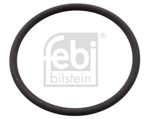 Purškimo siurblio tarpiklis FEBI BILSTEIN 106582