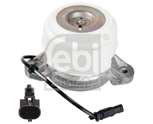 Variklio montavimas FEBI BILSTEIN 107968