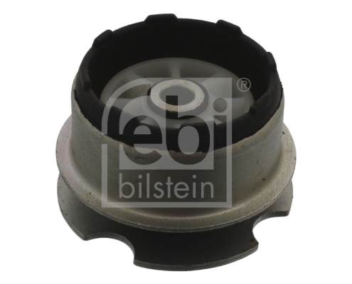 Variklio montavimas FEBI BILSTEIN 14972