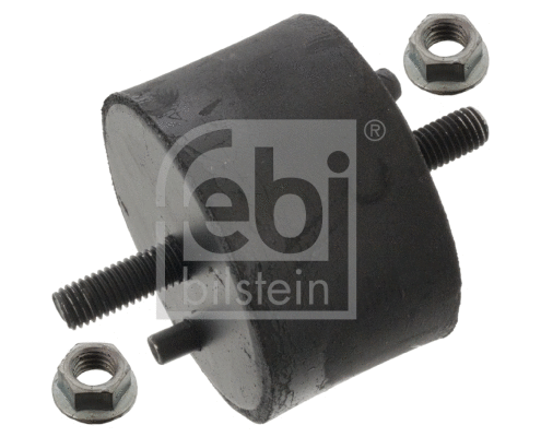 Variklio montavimas FEBI BILSTEIN 15786