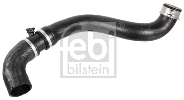 Radiatoriaus žarna FEBI BILSTEIN 172431