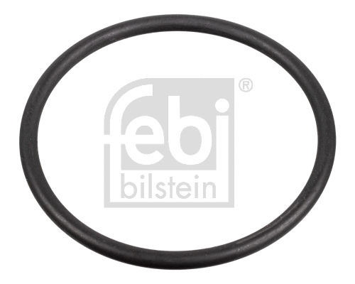 Degalų siurblio tarpinė FEBI BILSTEIN 172666