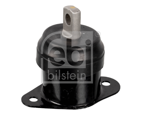 Variklio montavimas FEBI BILSTEIN 173625