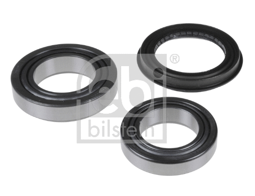 Rato guolio komplektas FEBI BILSTEIN 173670