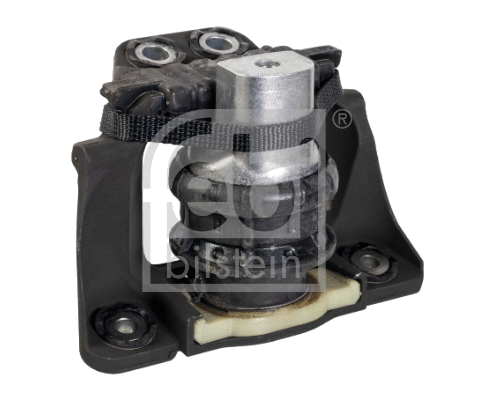 Variklio montavimas FEBI BILSTEIN 173816