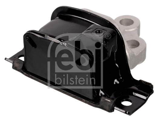 Variklio montavimas FEBI BILSTEIN 174208