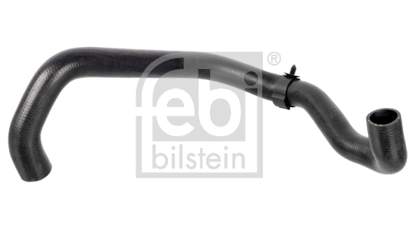 Radiatoriaus žarna FEBI BILSTEIN 174416