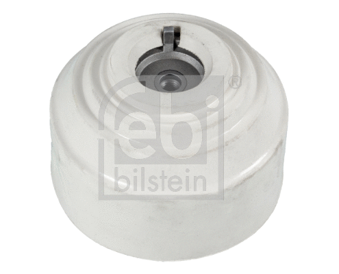 Variklio montavimas FEBI BILSTEIN 17748