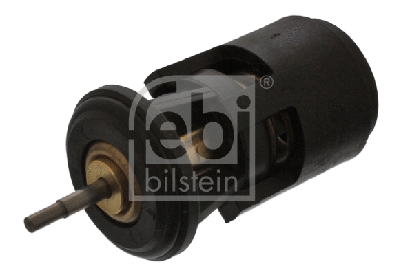 Termostatas FEBI BILSTEIN 17902