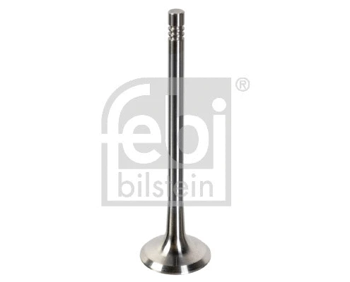 Angos vožtuvas FEBI BILSTEIN 181648