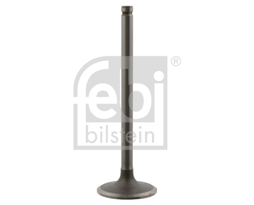 Įvado vožtuvas FEBI BILSTEIN 18767