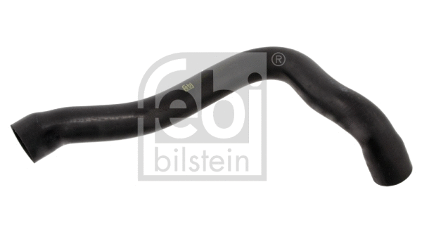 Radiatoriaus žarna FEBI BILSTEIN 28617