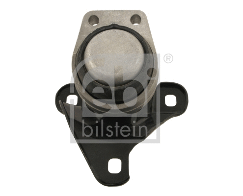 Variklio montavimas FEBI BILSTEIN 30061
