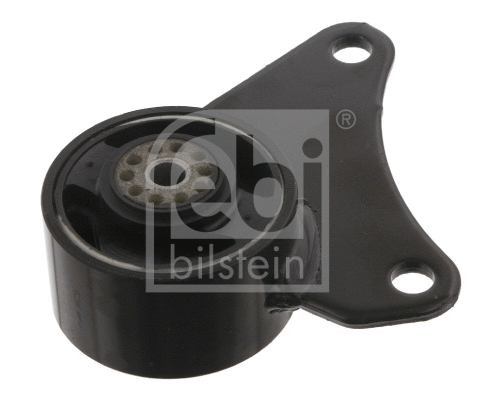 Variklio montavimas FEBI BILSTEIN 30079