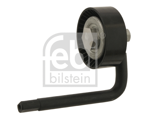 Diržo įtempiklio skriemulys FEBI BILSTEIN 30116