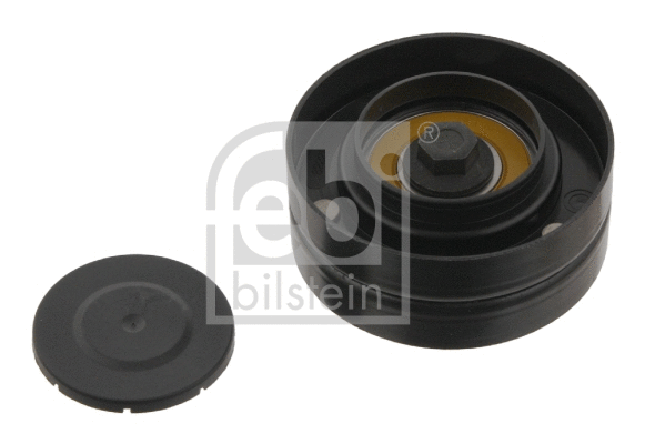 Diržo įtempiklio skriemulys FEBI BILSTEIN 30893